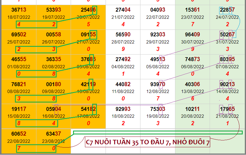 C7 CỨNG TỪ 24-28-8-2022.png