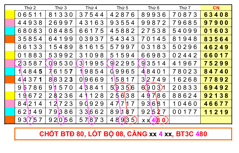 CAU DE 24-08.png