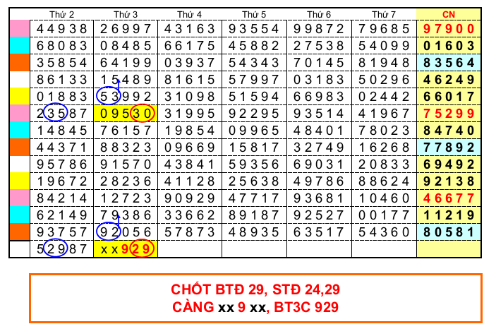 CAU DE 28-08.png