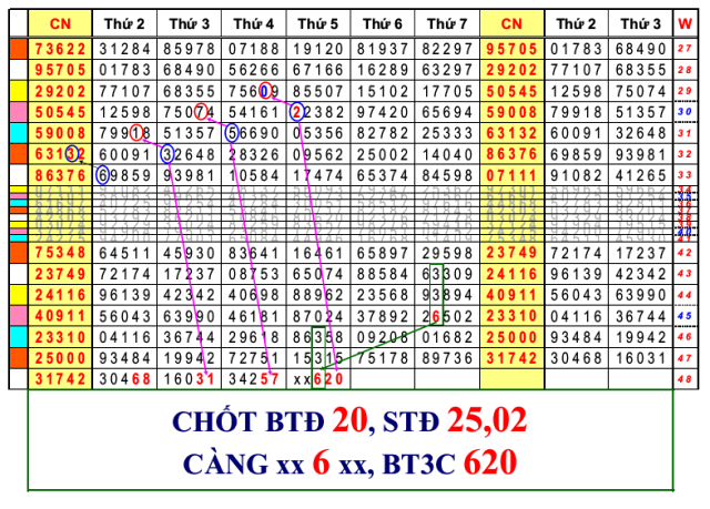 CAU DE 28- 11 -2019.png