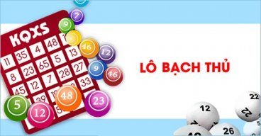 bachthulo5d